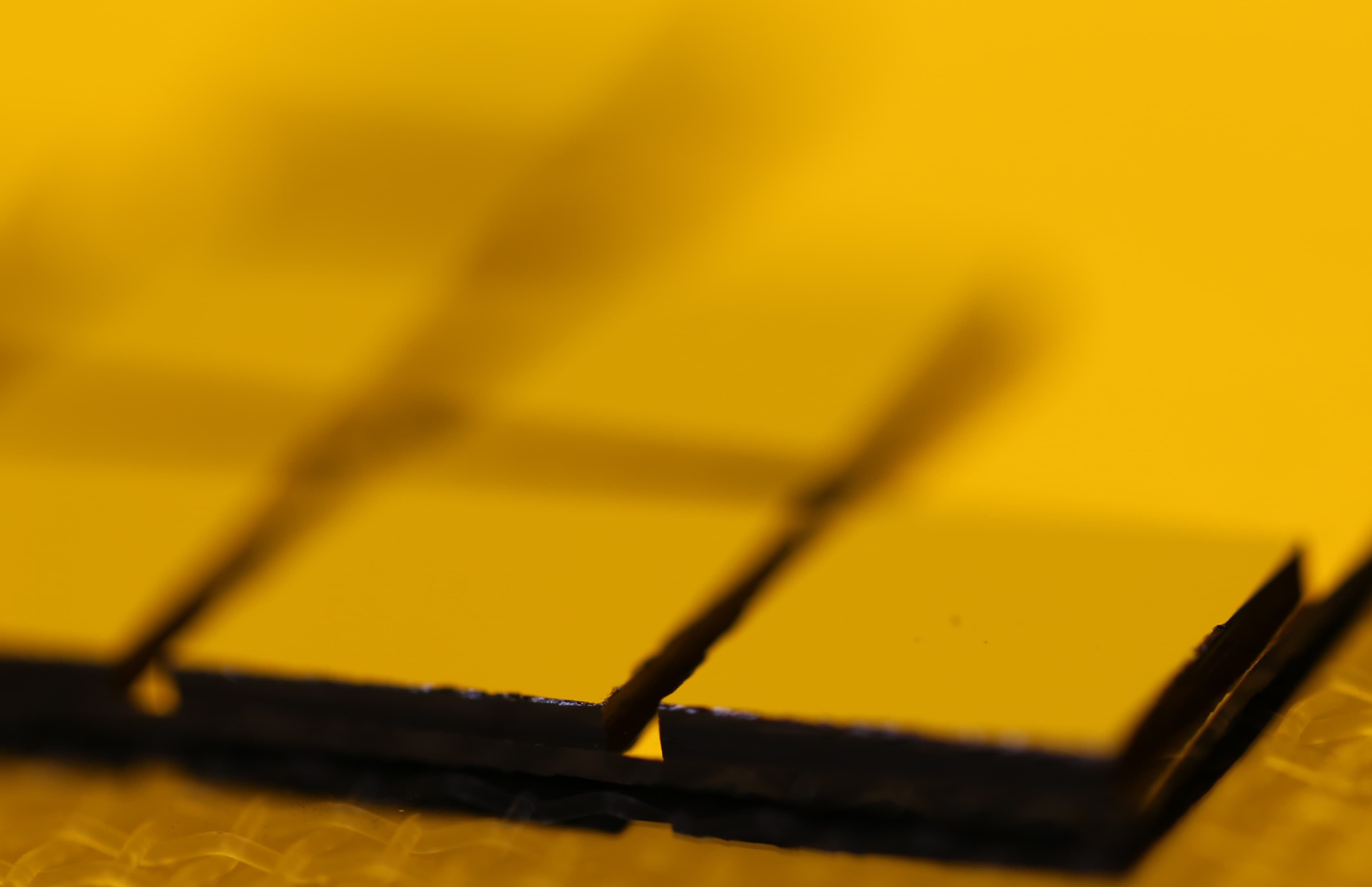 Anyon Technologies multi-chiplet quantum processor — modular entangled chiplet architecture
